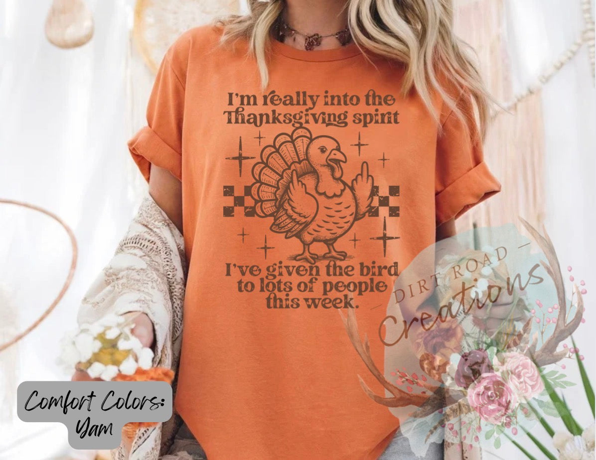Thanksgiving spirit graphic tee