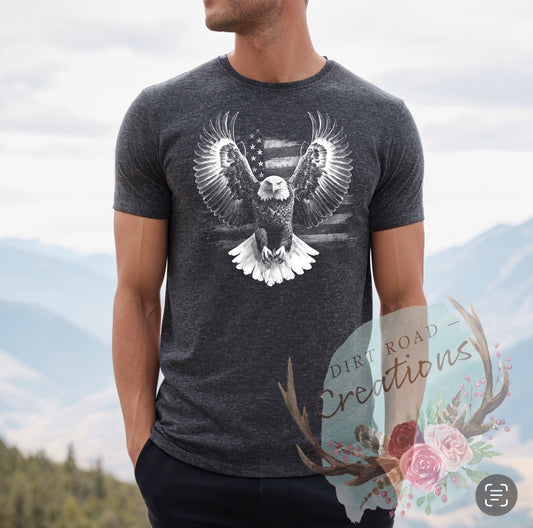 American eagle graphic tee