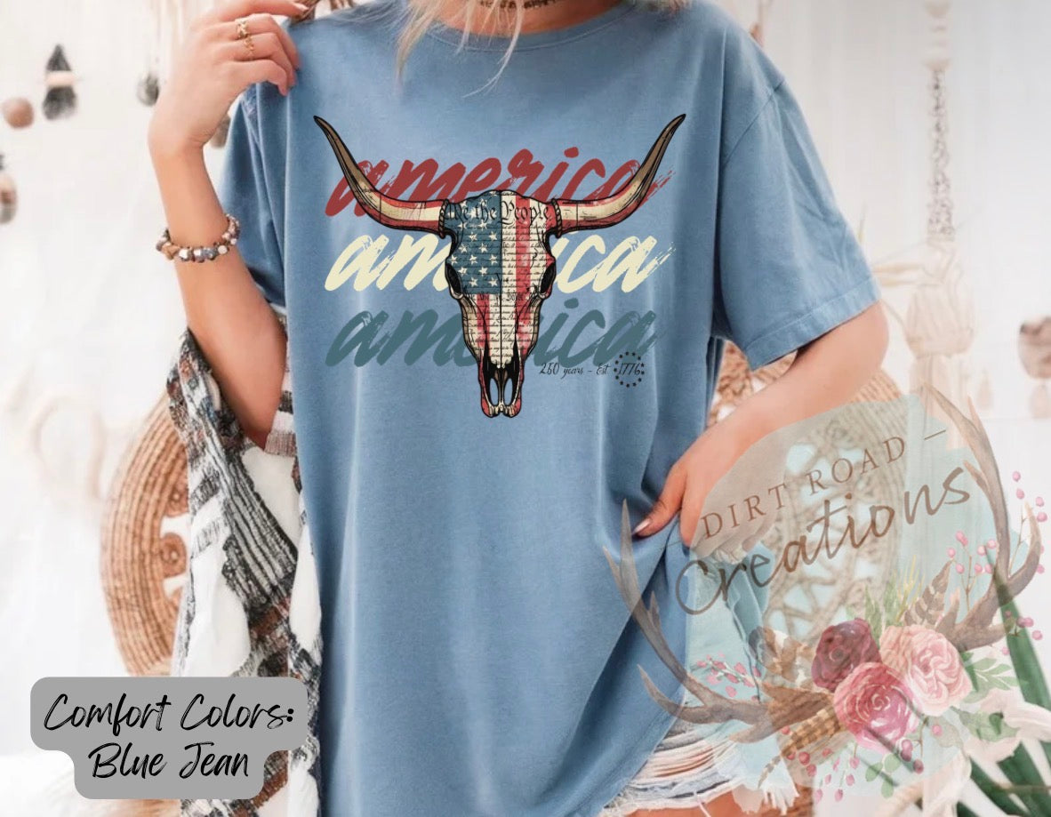 America graphic tee