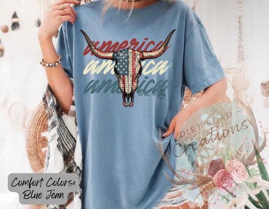America graphic tee