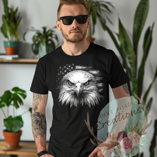 American eagle 2 graphic tee