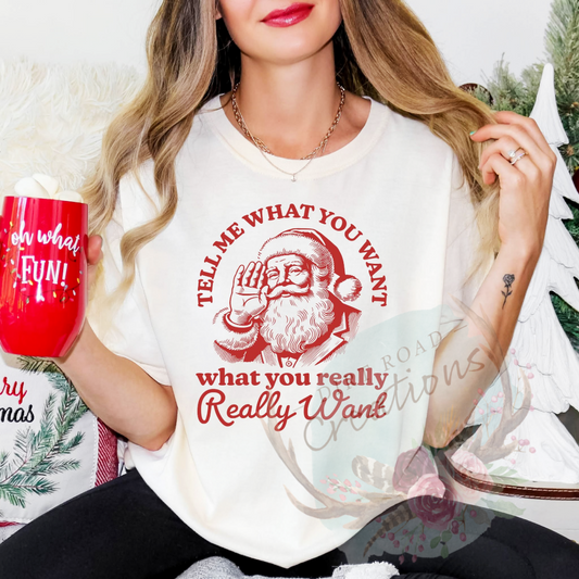 Santa really want screen print Sweatshirt