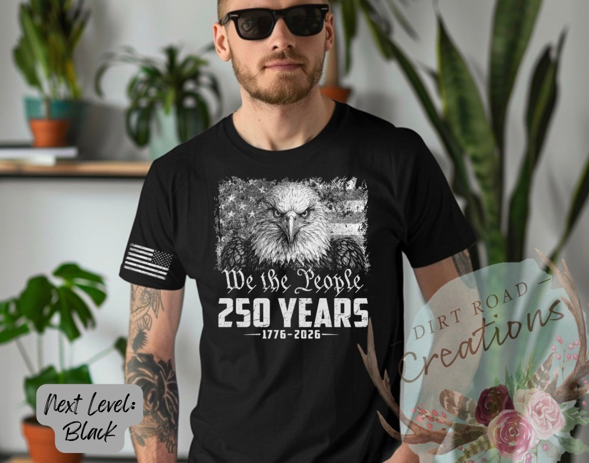 USA 250th eagle graphic tee
