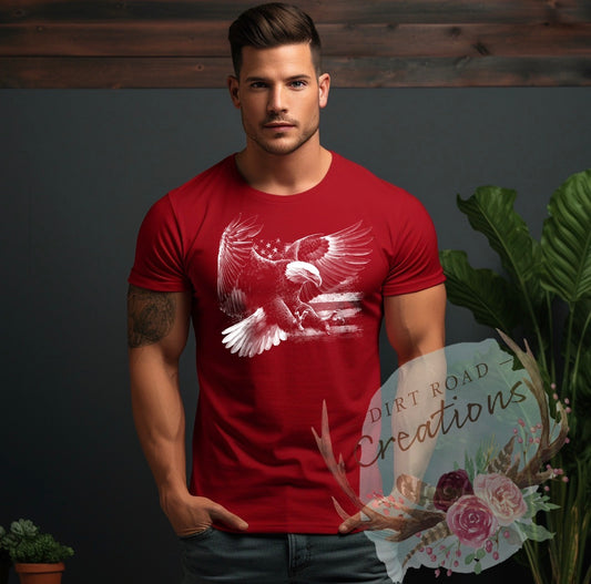 American eagle 4 graphic tee